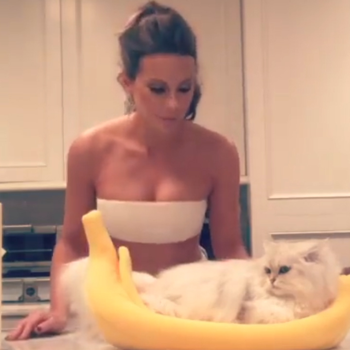 Kate Beckinsale’s Cat “Willow” is a Star - Photo 4