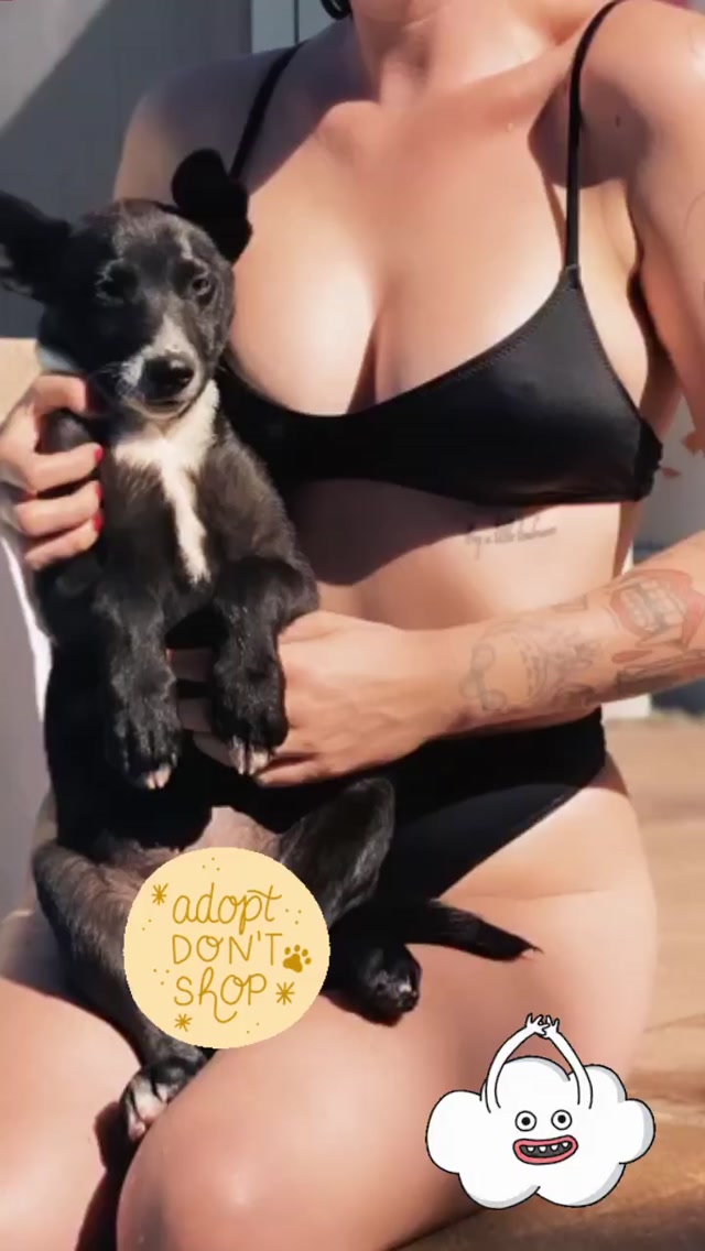 Ireland Baldwin Takes a Dip with her Dog!