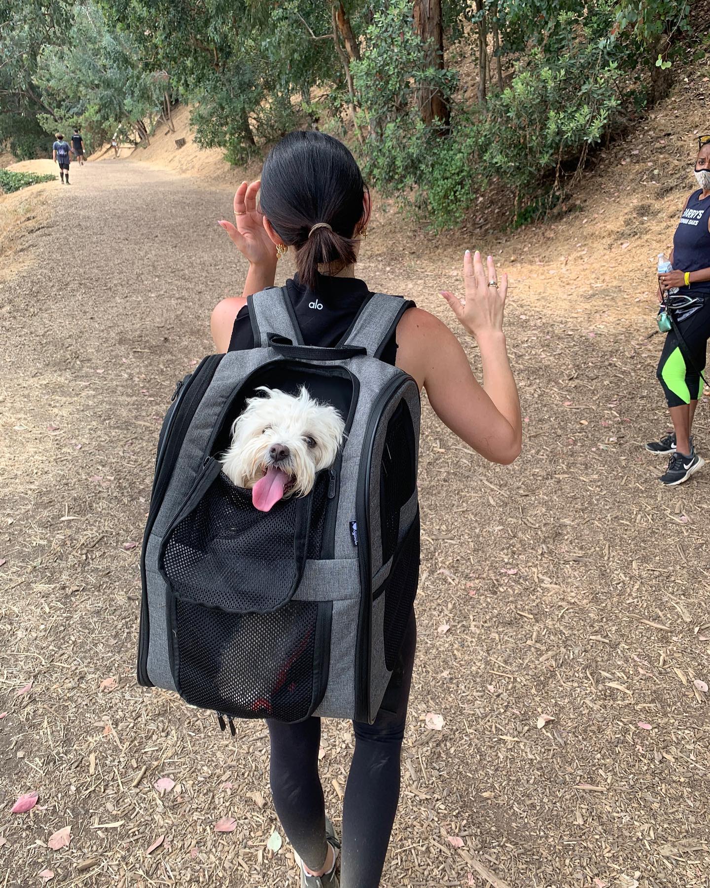Photos n°2 : Lucy Hale Puts her Pup on Her Back!