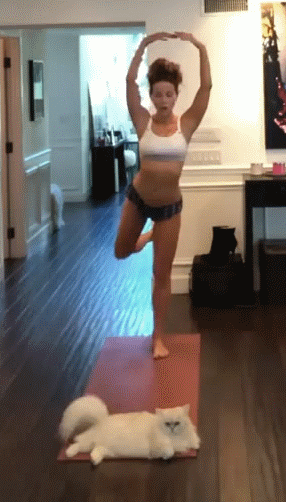 Kate Beckinsale Kitty Yoga!