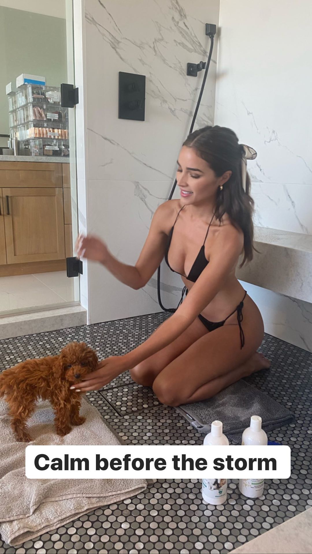 Olivia Culpo Traumatizing Her Dog in a Bikini!