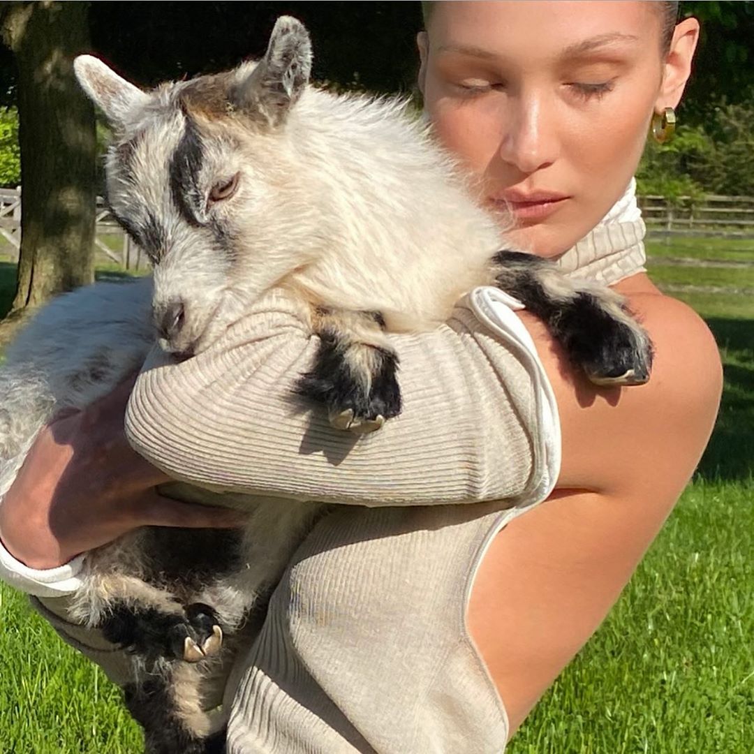 Bella Hadid The Goat Whisperer! - Photo 3