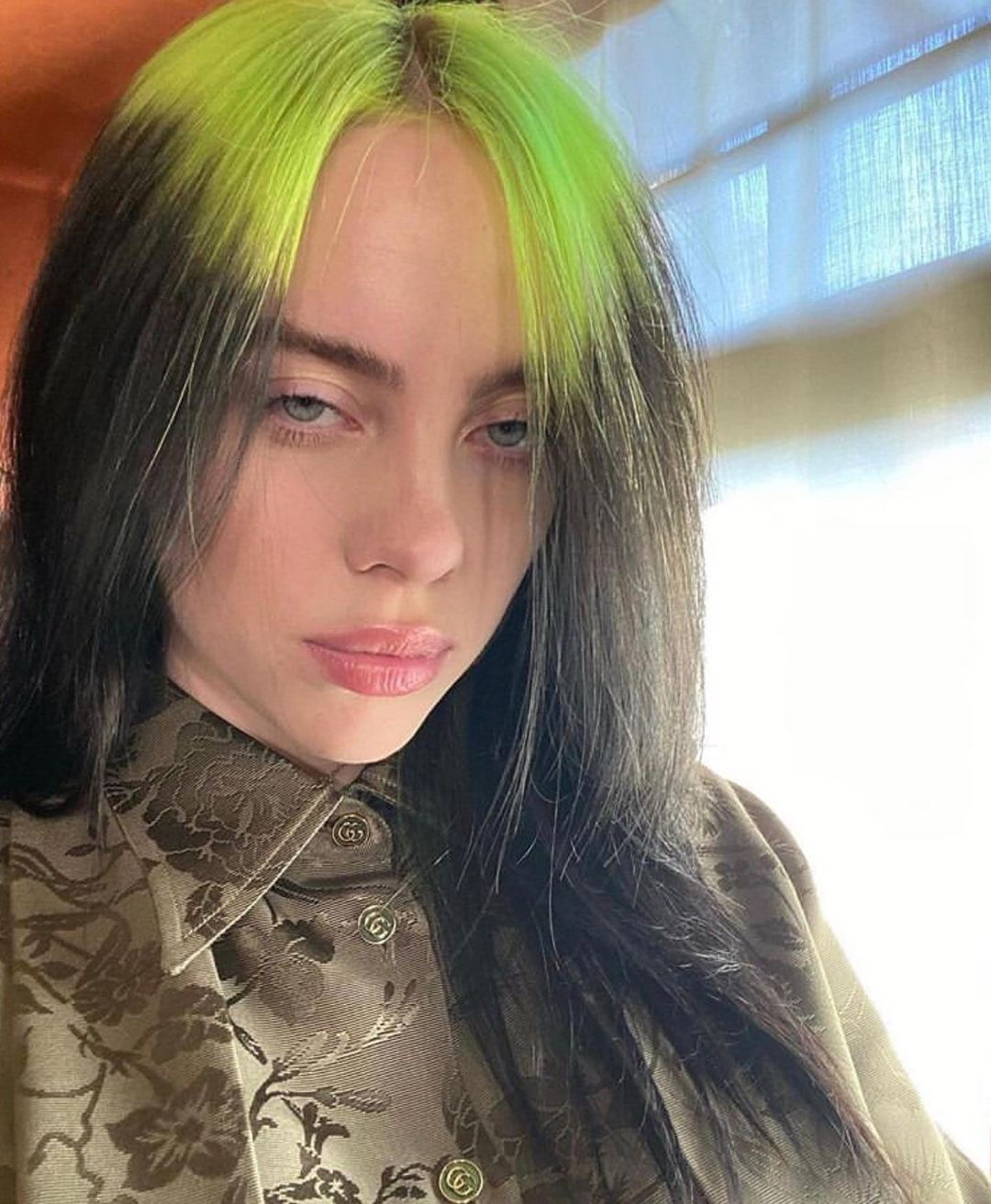 Photos n°21 : Billie Eilish Bares Some Breasts at for Thanksgiving!