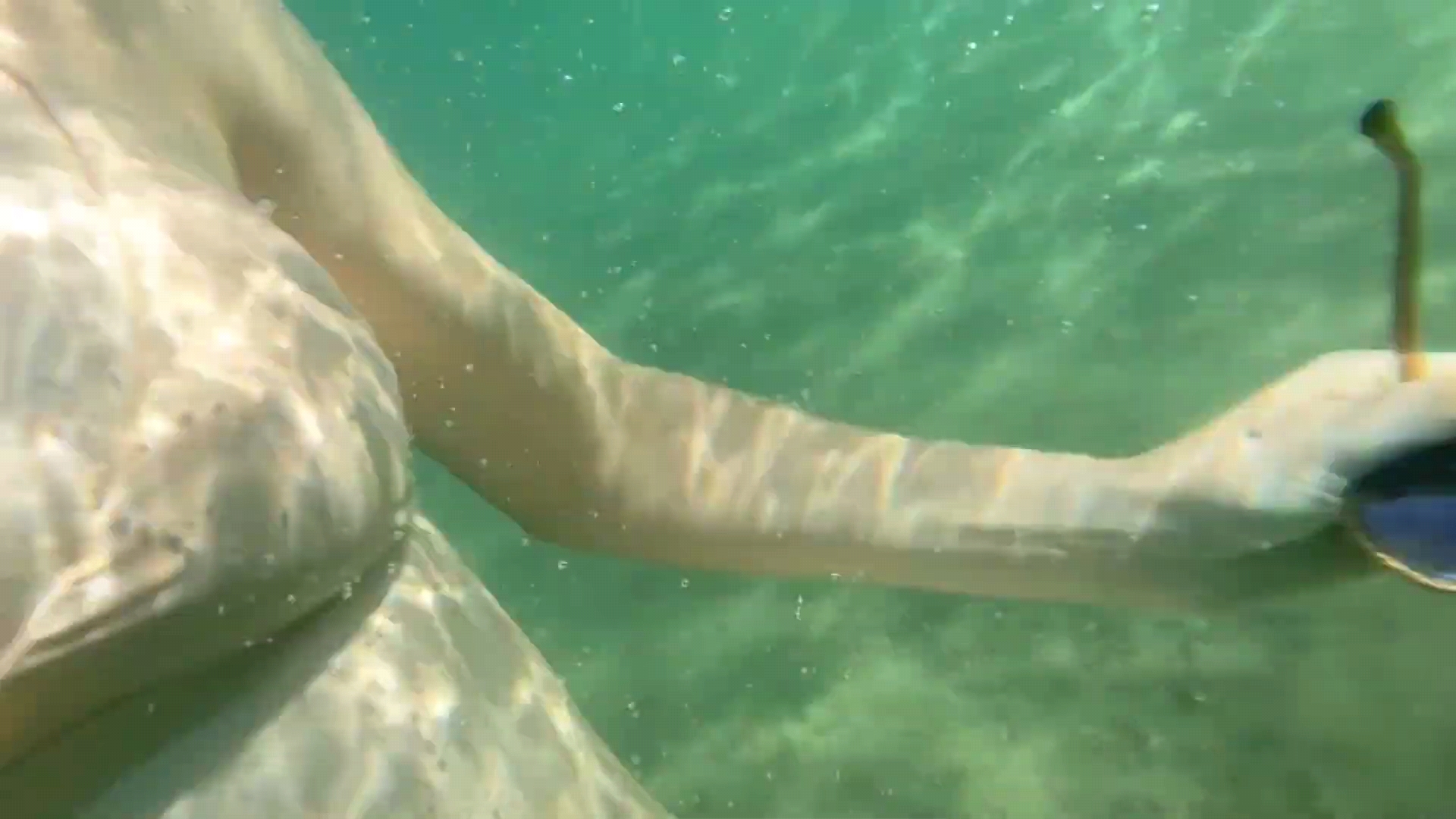 Alexandra Daddario Skinny Dips en vacances! - Photo 9