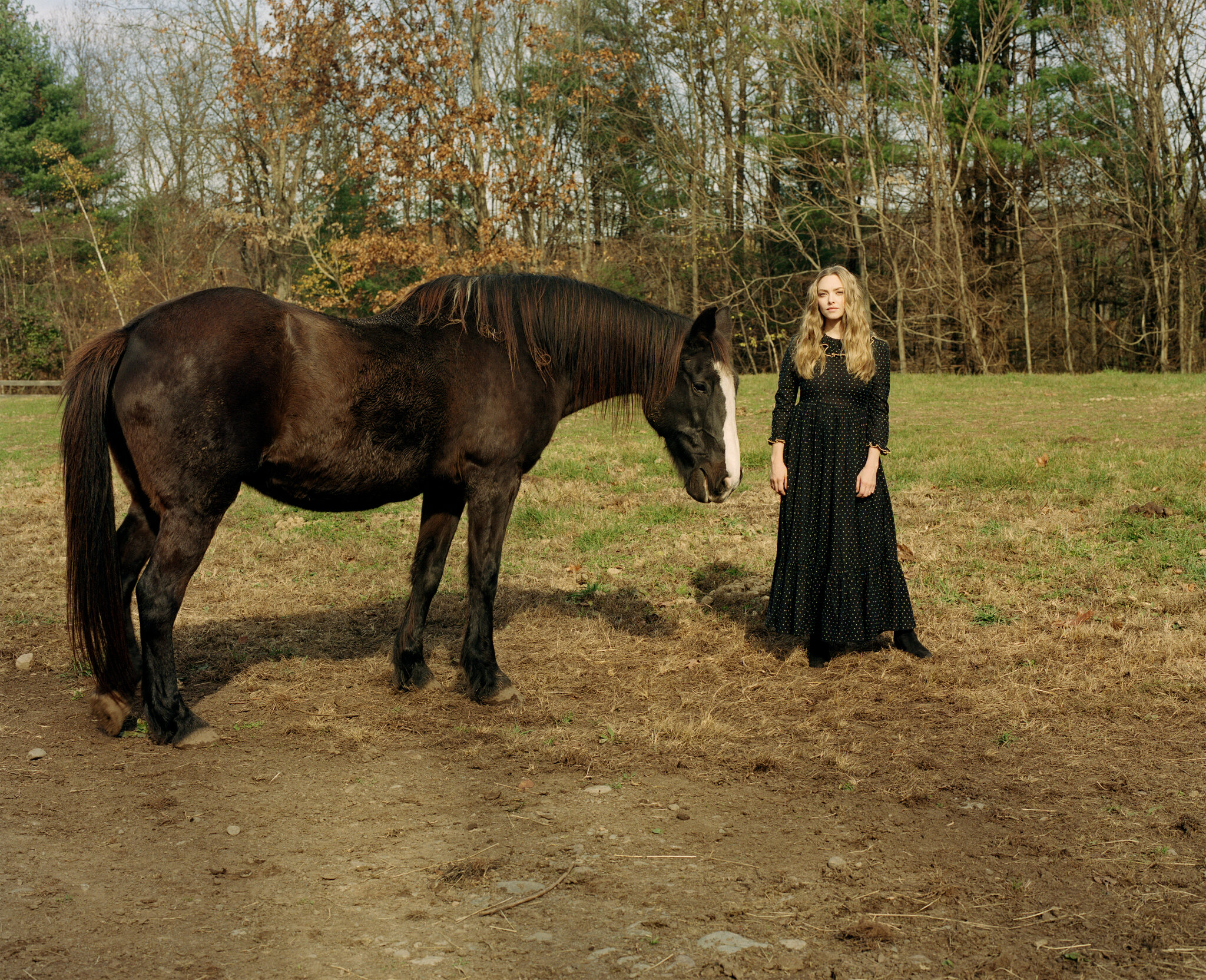 Amanda Seyfried on The Farm! - Photo 3