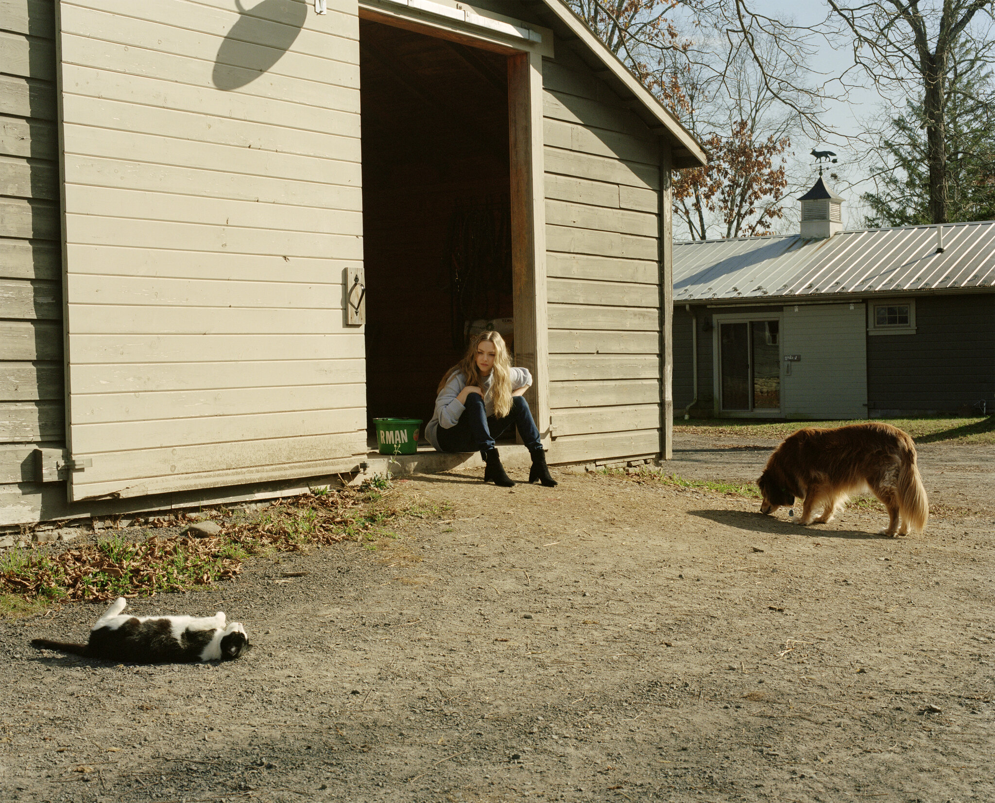 Photos n°3 : Amanda Seyfried on The Farm!