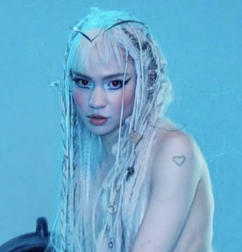 Photos n°10 : Grimes Wears a Revealing Bodysuit on Stage!