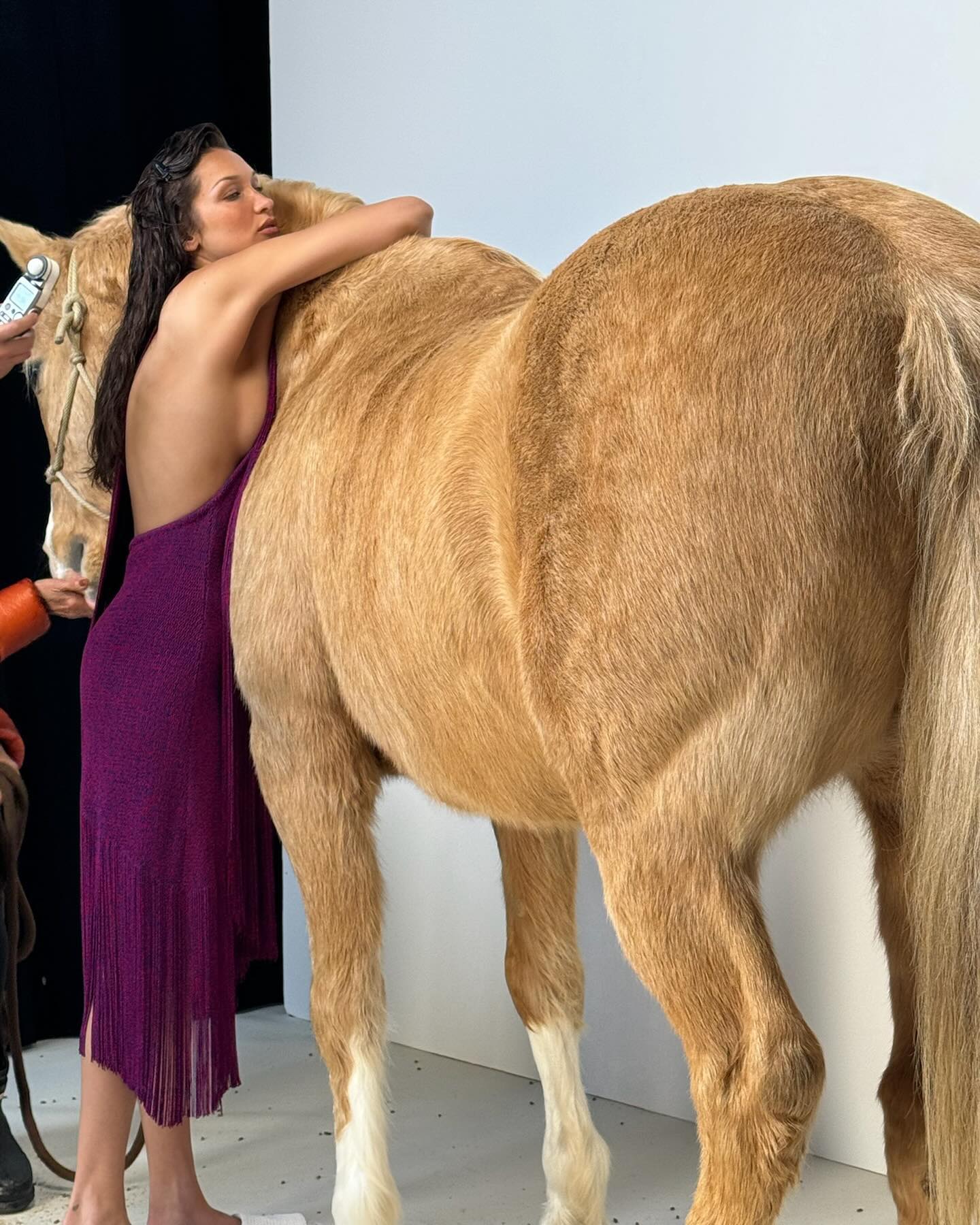 Photos n°2 : Bella Hadid is Horsing Around on the Set of Her New Vogue Shoot!